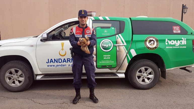 diyadin yaralı şahin jandarma3