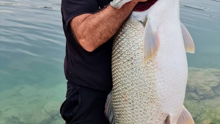 ELAZIĞ - Amatör balıkçı olta ile 1,5 metre uzunluğunda turna balığı tuttu1