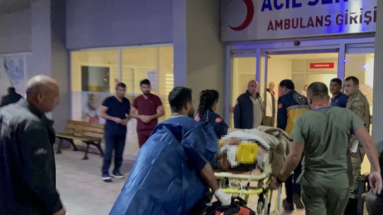 Erzincan'da ayı saldırısına uğrayan kadın ağır yaralandı