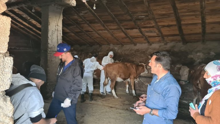 Erzurum'da Hayvan Hastanesi hizmet aracı ilçeleri gezmeye devam ediyor