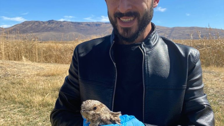 ERZURUM - Tedavisi tamamlanan çobanaldatan kuşu doğaya salındı1