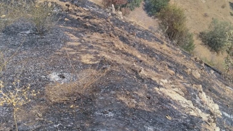 MALATYA - Ormanlık alan yangında zarar gördü1