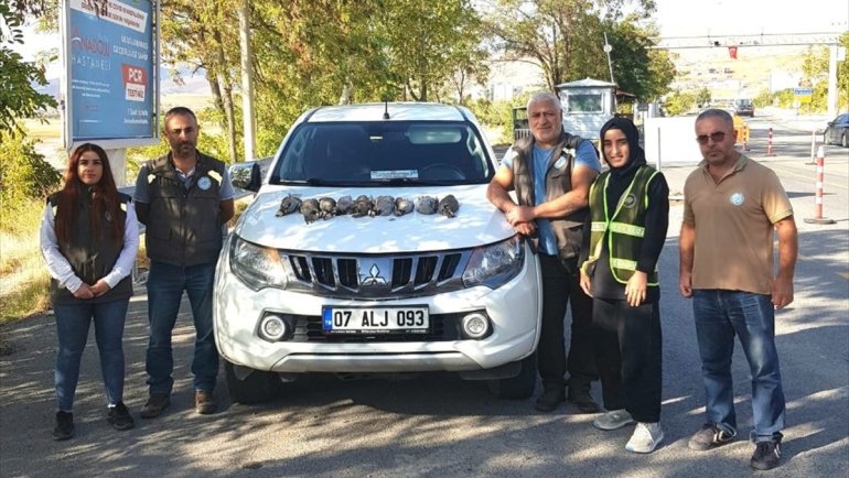 Tunceli'de kaçak keklik avcılarına 21 bin 460 lira ceza kesildi