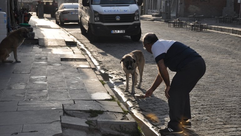Bulanık'ta sahipsiz hayvanlarının beslenme alanlarına mama bırakıldı