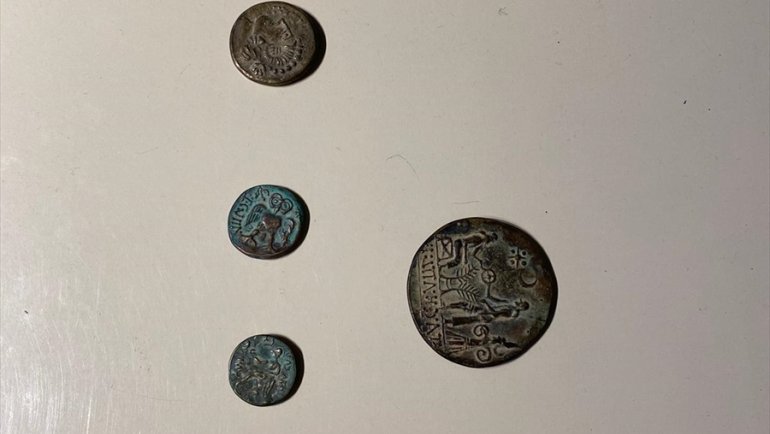 Van'da sikke ve silah ele geçirildi