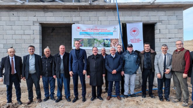 Adilcevaz'da "ceviz gen bahçesi" kuruldu