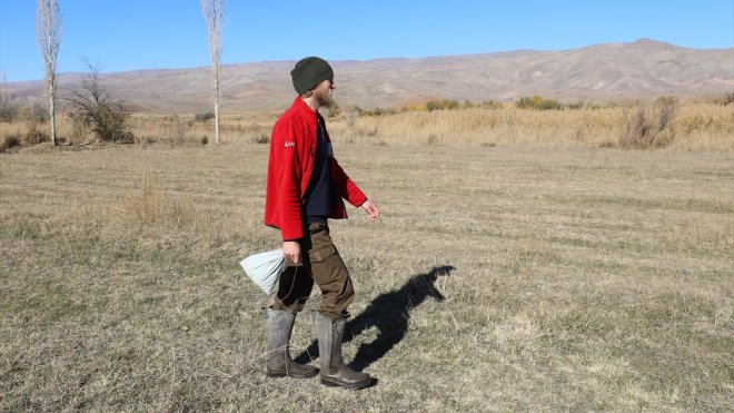 Belaruslu araştırmacı kuş cennetindeki halkalama çalışmalarında gönüllü oldu