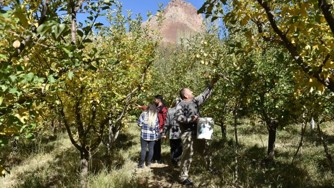 Hakkari'de devlet desteğiyle oluşturulan bahçeler elma üretimini artırdı
