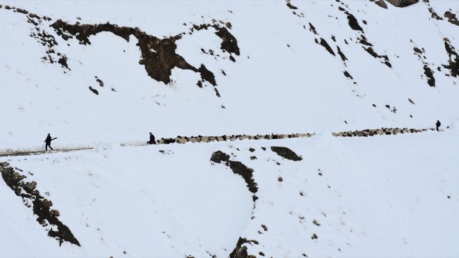 Kışın kar esareti yaşanan köyde, sürülerin kente göçü başladı