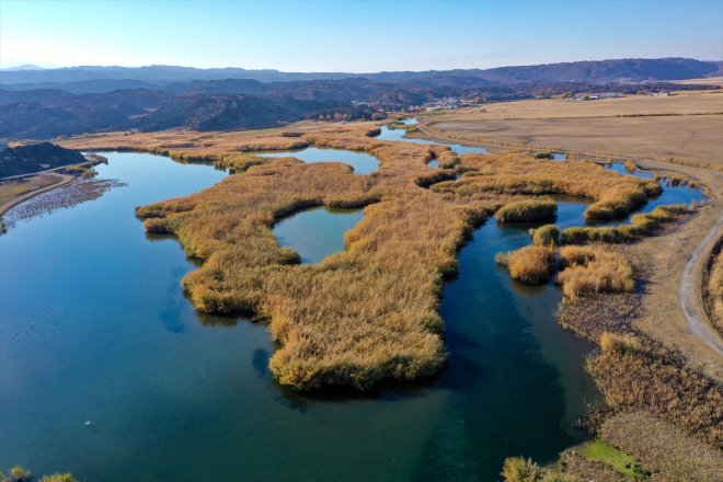 Dağı Milli Ağrı oldu renkleri Parkı