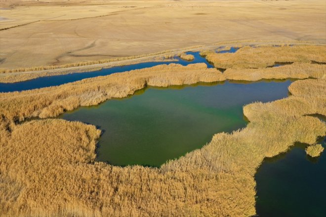 oldu Dağı sonbahar - IĞDIR Ağrı renkleri Parkı