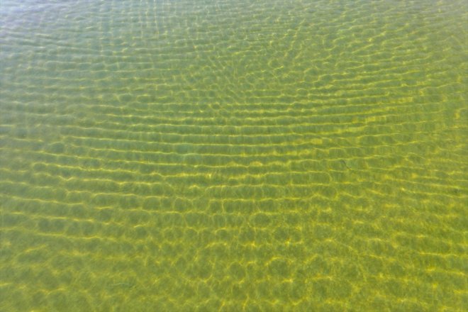 renkleri oldu Ağrı Milli - Dağı Parkı