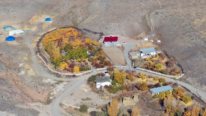 Iğdır'daki Aras Vadisi'nde sonbahar renkleri drone ile görüntülendi