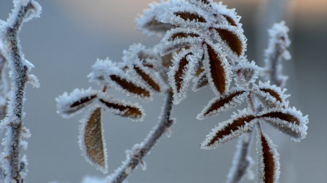 Kars'ta termometreler sıfırın altında 7 dereceyi gösterdi