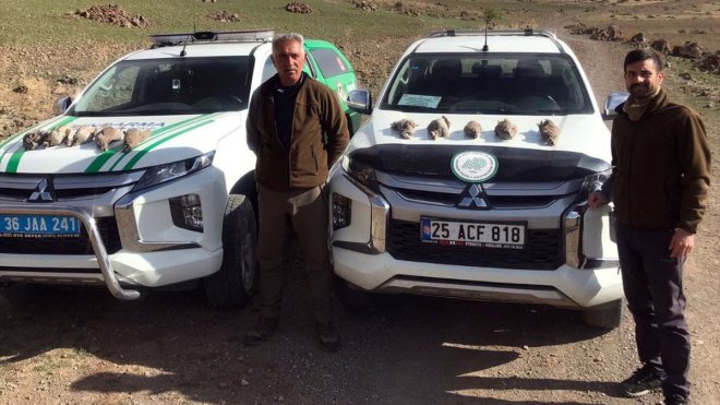 Kars'ta keklik avlayan 3 kişiye 17 bin 592 lira ceza