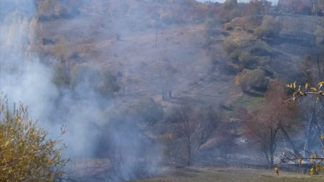 Malatya'da 5 dönümlük ormanlık alan yandı