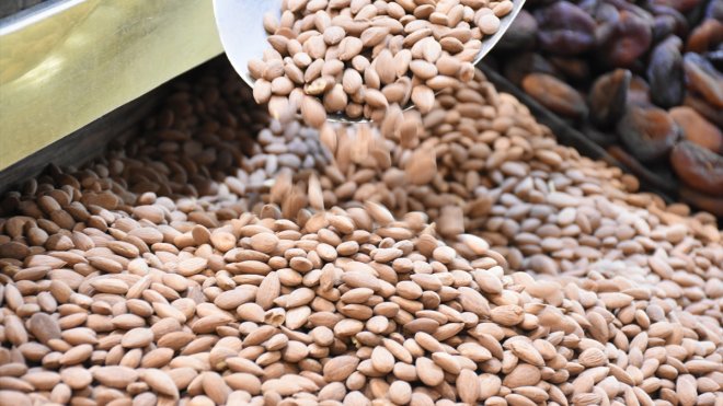 Kayısı çekirdeği ihracatından 14 milyon 677 bin dolarlık gelir