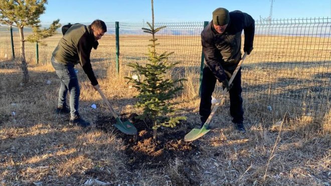 Sarıkamış Allahuekber Şehitlik Anıtı çevresine fidan dikildi