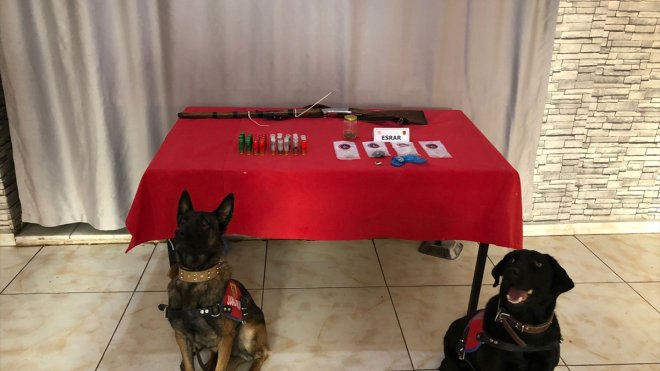 Tunceli'deki uyuşturucu operasyonunda 2 şüpheli yakalandı