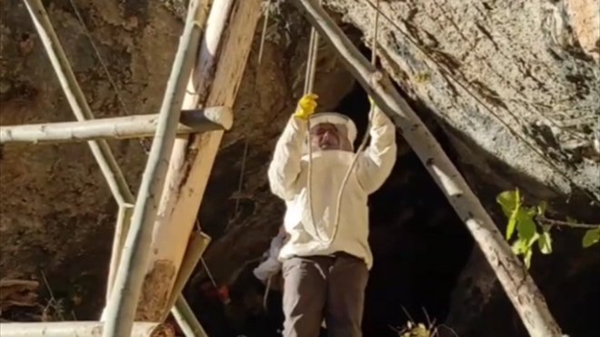 Van'da arıcılar, kaya balına ulaşabilmek için 11 metrelik merdiven yaptı