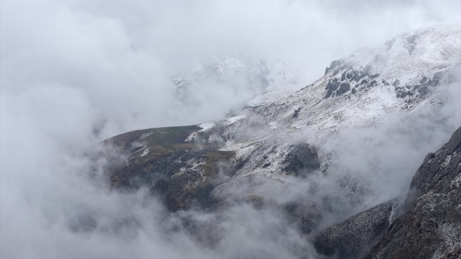 Van ile Muş'ta kar ve sis etkili oldu