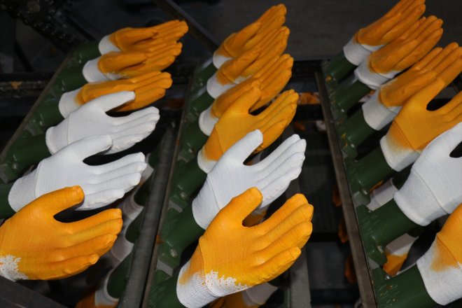 ithalatından oldu memleketine AĞRI ihracatçı iş girişimci dönüp eldiveni etkilenen Ağrılı - Ailesinin 21