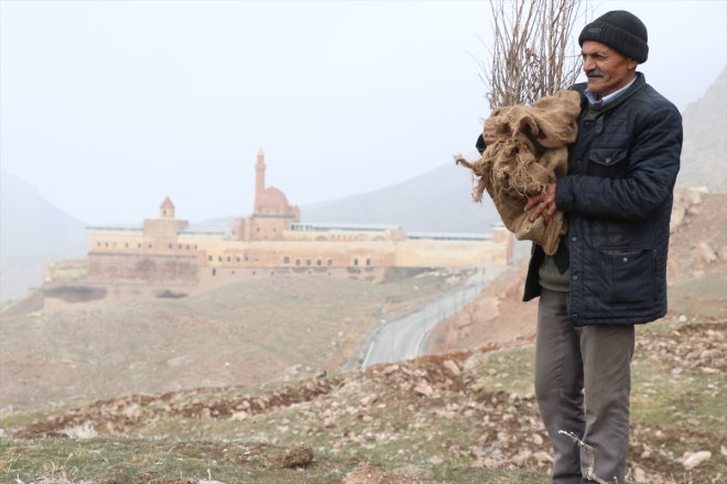 - bürünüyor çevresi çorak İshak yeşile Sarayı