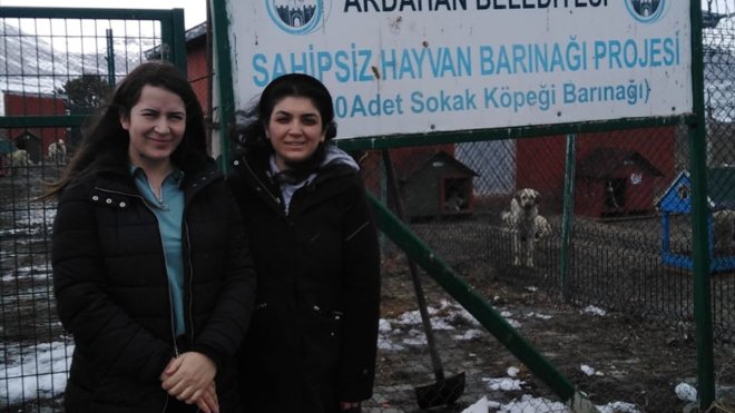 Ardahan'da vatandaşlar barınaktaki hayvanları besledi