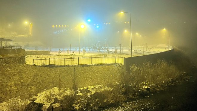ARDAHAN - Yoğun sis devam ediyor1