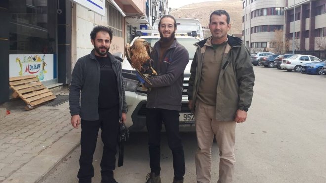 Bayburt ve Bingöl'de yaralı bulunan kukumav ve şahin Erzurum'da tedaviye alındı