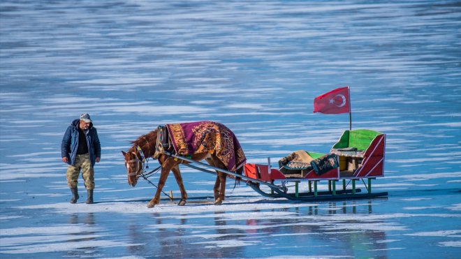 Çıldır Gölü'ndeki kızakçı atları soğuklara karşı üzerlerine örtülen halıyla korunuyor