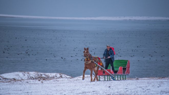 Çıldır Gölü'nün donmasını bekleyen atlı kızakçılar, karlı arazilere çıktı