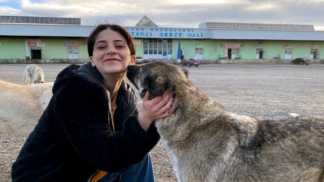 Kars'ta üniversite öğrencileri sahipsiz köpekleri besledi
