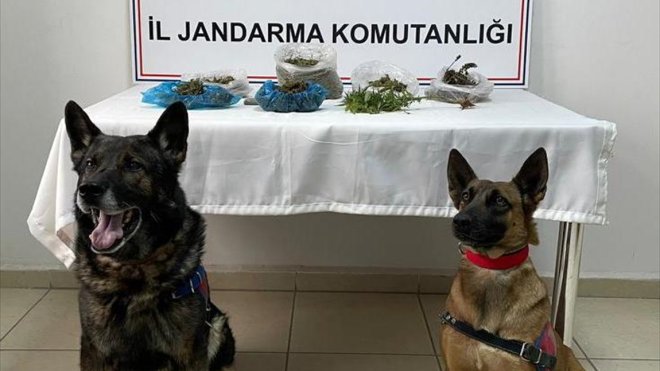 Malatya'da dron destekli uyuşturucu operasyonunda 2 zanlı yakalandı