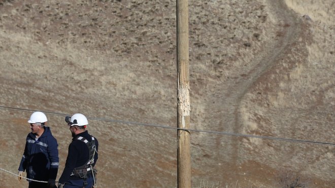 Muş'ta ayıların zarar verdiği elektrik direkleri yenilendi
