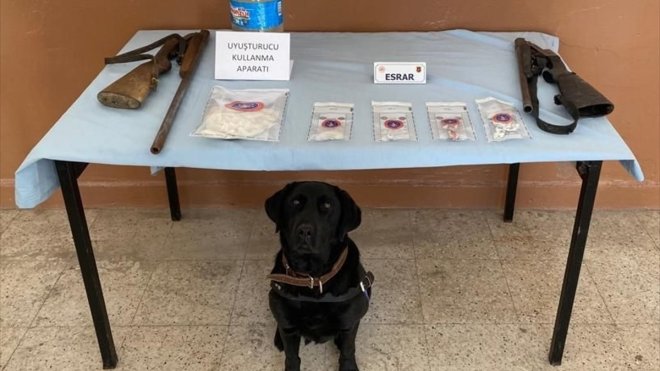Tunceli'de uyuşturucu operasyonunda 11 şüpheli gözaltına alındı