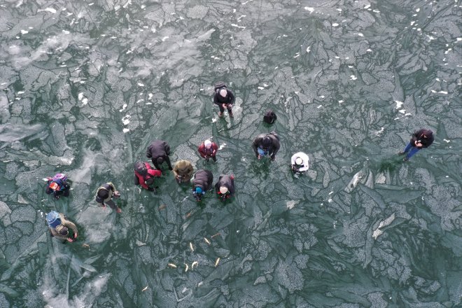 Yüzeyi tutkunlarını - kaplı Gölü Balık buzla fotoğraf ağırlıyor AĞRI 2