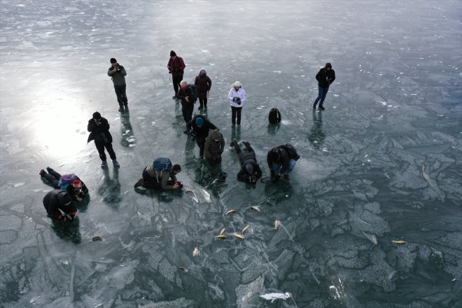 kaplı - AĞRI Balık ağırlıyor Gölü Yüzeyi fotoğraf tutkunlarını buzla 3