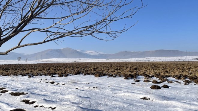 Kuş türlerine ev sahipliği yapan Ardahan'daki Putka Sazlığı dondu
