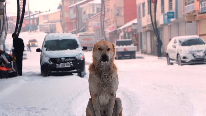 Bingöl'de kar etkili oldu
