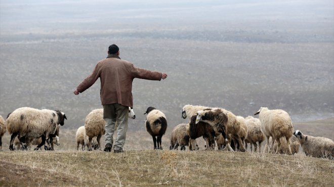 En fazla kar yağan illerden Hakkari ve Muş, bu kış kara hasret kaldı1