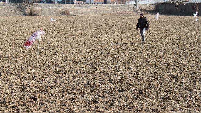 Kar yağmayınca açıkta kalan tarladaki buğday tohumlarını kargalardan koruyorlar