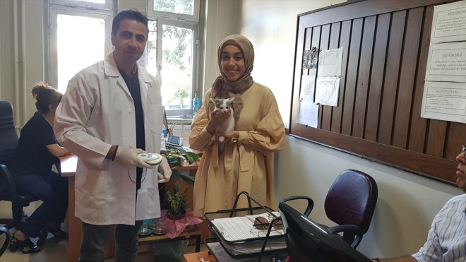 Gaziantep ve çevre illerde 25 bin 285 evcil hayvan kayıt altına alındı1