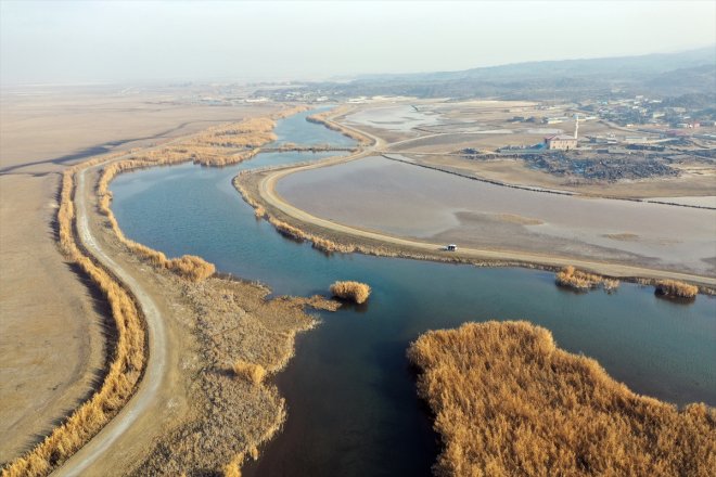 kaldı alanlar sulak yerel soğuyunca kuşlara Ağrı - Dağı IĞDIR eteklerindeki havalar 1