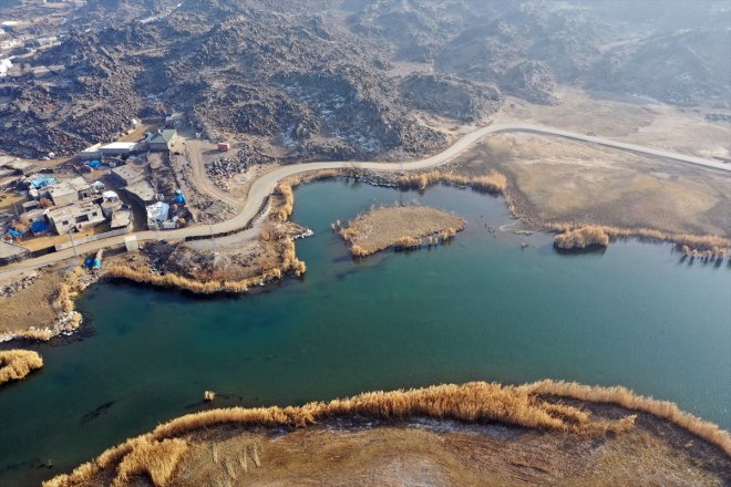 kaldı yerel kuşlara - soğuyunca IĞDIR Ağrı havalar sulak eteklerindeki Dağı alanlar 2