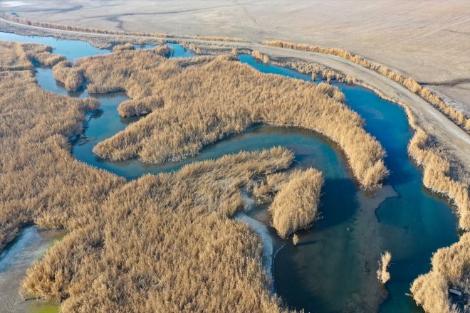 eteklerindeki Dağı alanlar kuşlara havalar Ağrı yerel soğuyunca sulak IĞDIR - kaldı 3