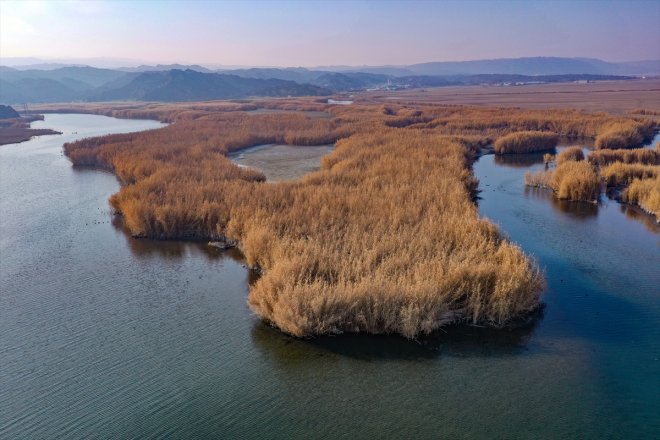 Ağrı Dağı IĞDIR - soğuyunca havalar yerel sulak eteklerindeki kaldı kuşlara alanlar 4