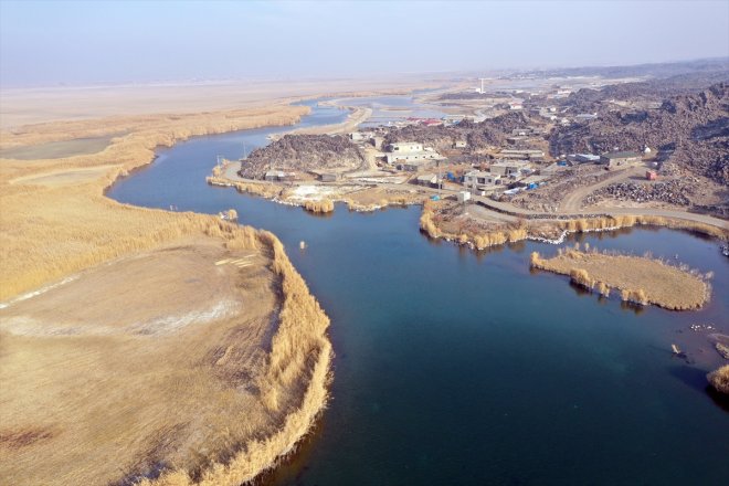 soğuyunca havalar IĞDIR Dağı - alanlar sulak Ağrı yerel kuşlara eteklerindeki kaldı 5