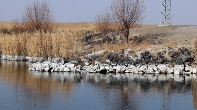 Iğdır'daki Karasu sulak alanında su seviyesi düştü