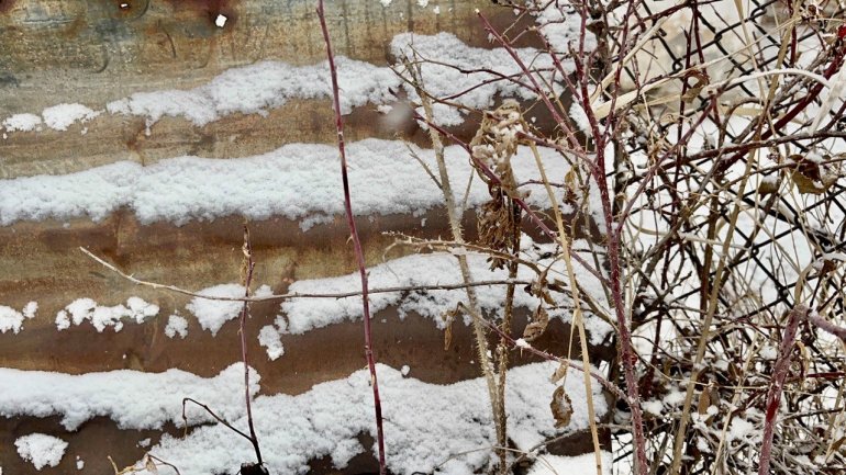 Kara hasret kalan Ağrı beyaza büründü2